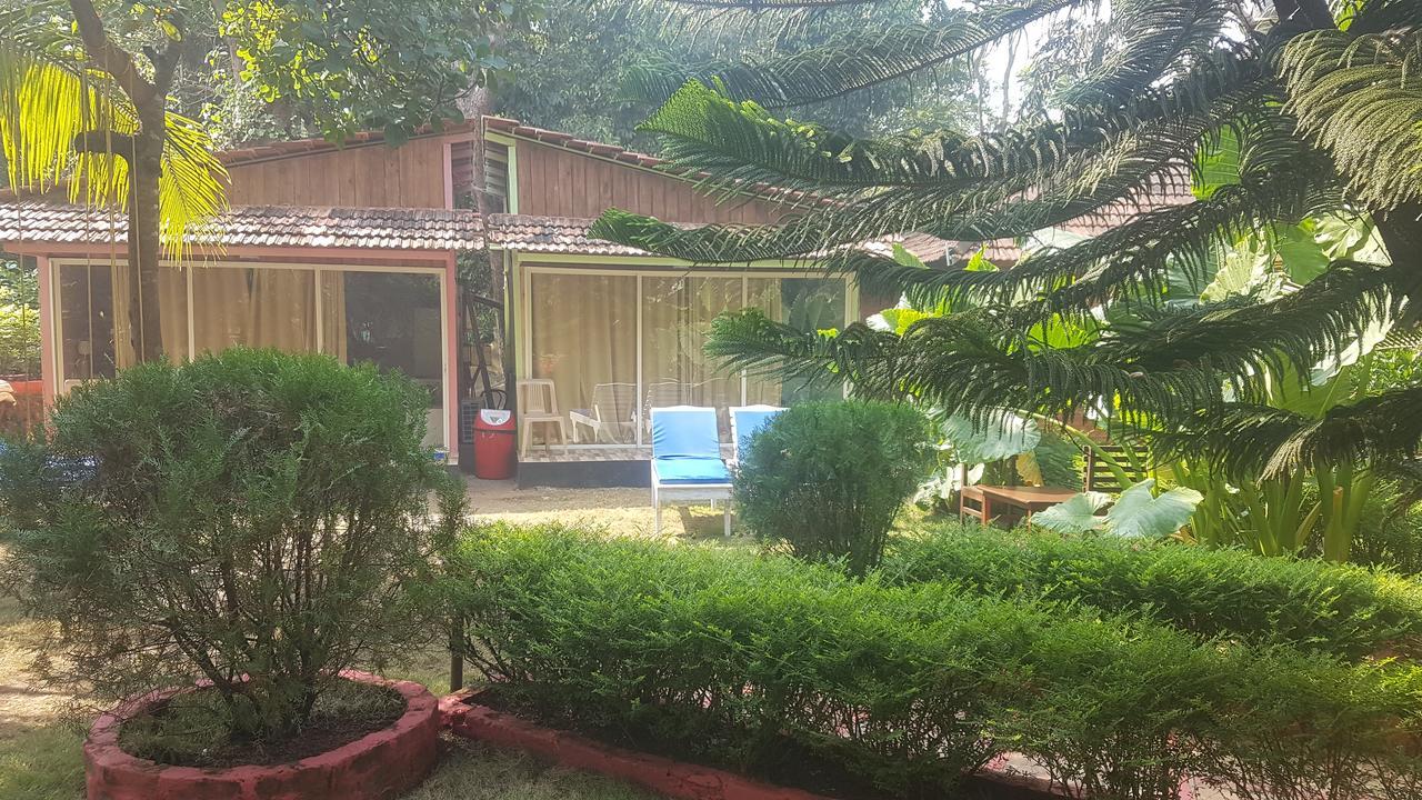 Curlies Zulu Land Hostel Anjuna Bagian luar foto