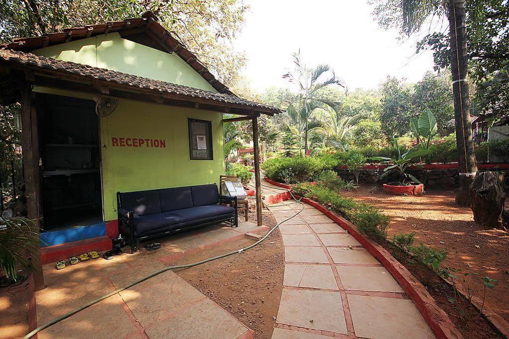 Curlies Zulu Land Hostel Anjuna Bagian luar foto